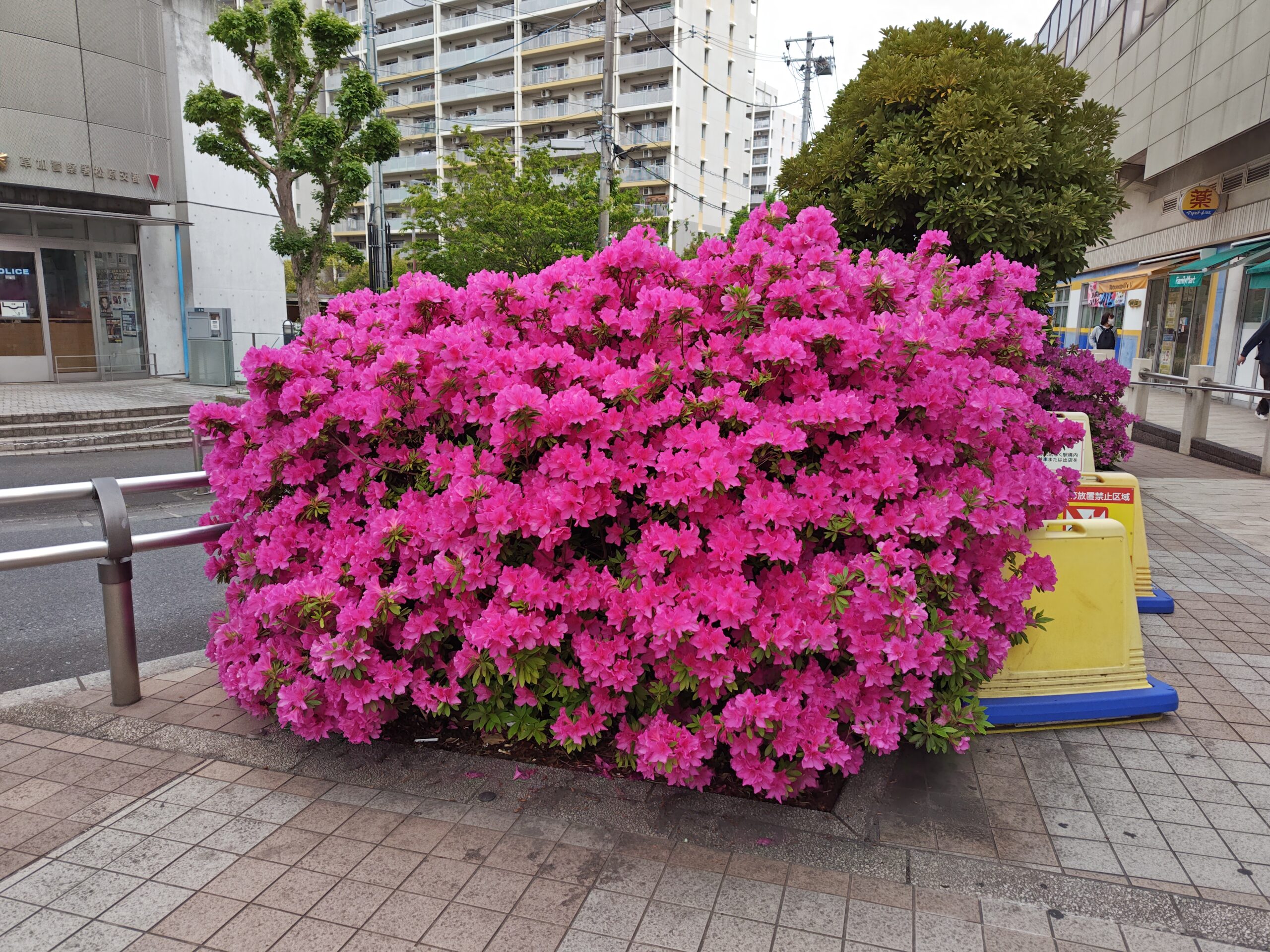 保護中: 5月5日🎏月曜日更新