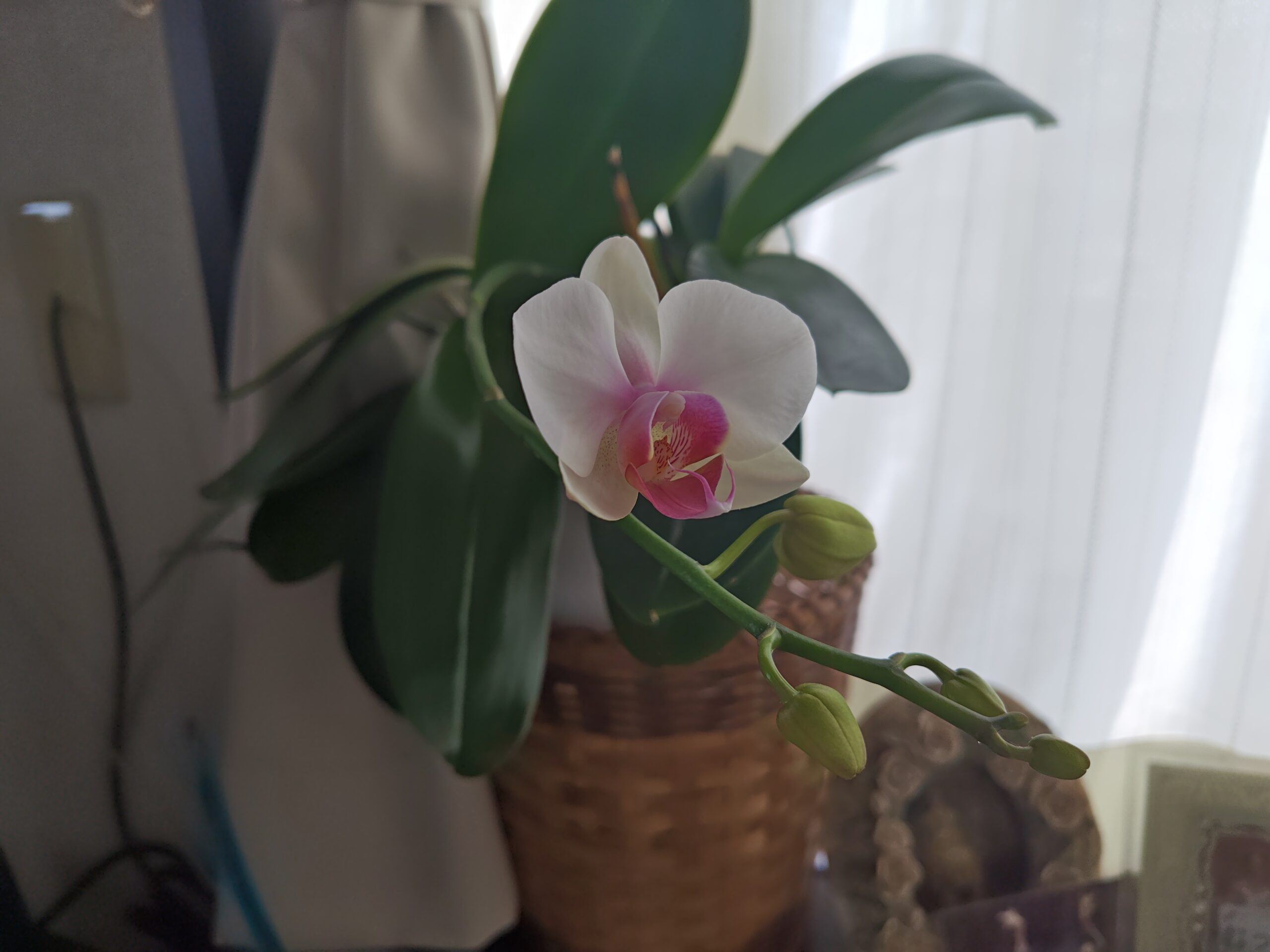 保護中: 7月7日🎋月曜日更新